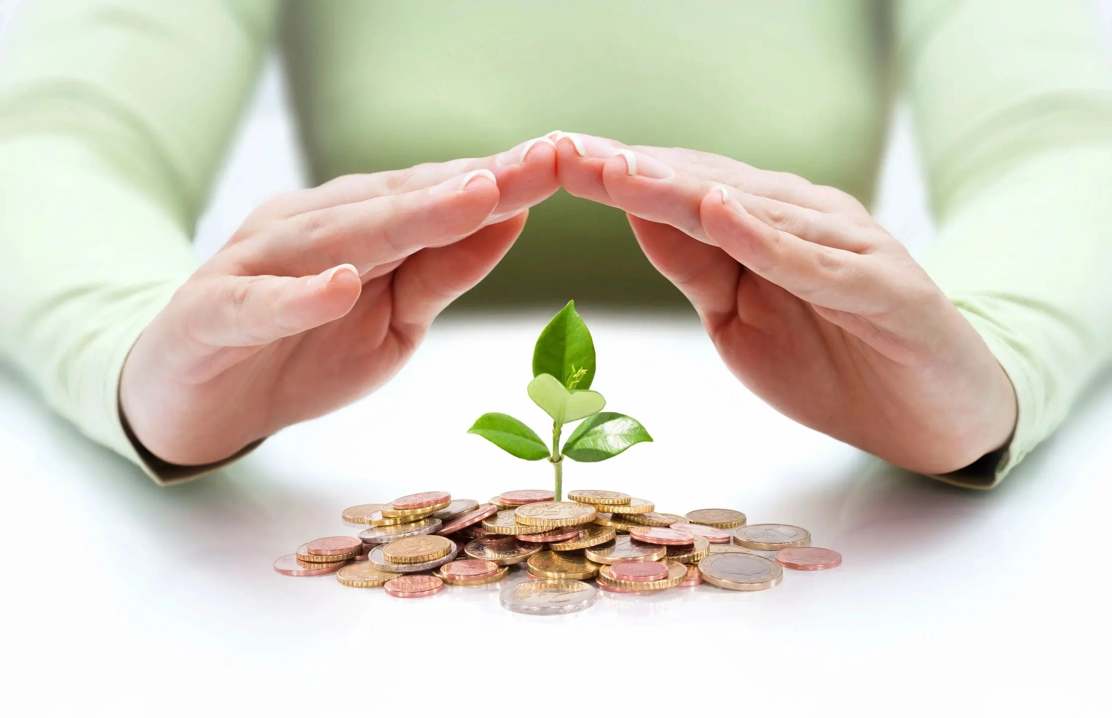 Hands protecting plant sprout growing from coins